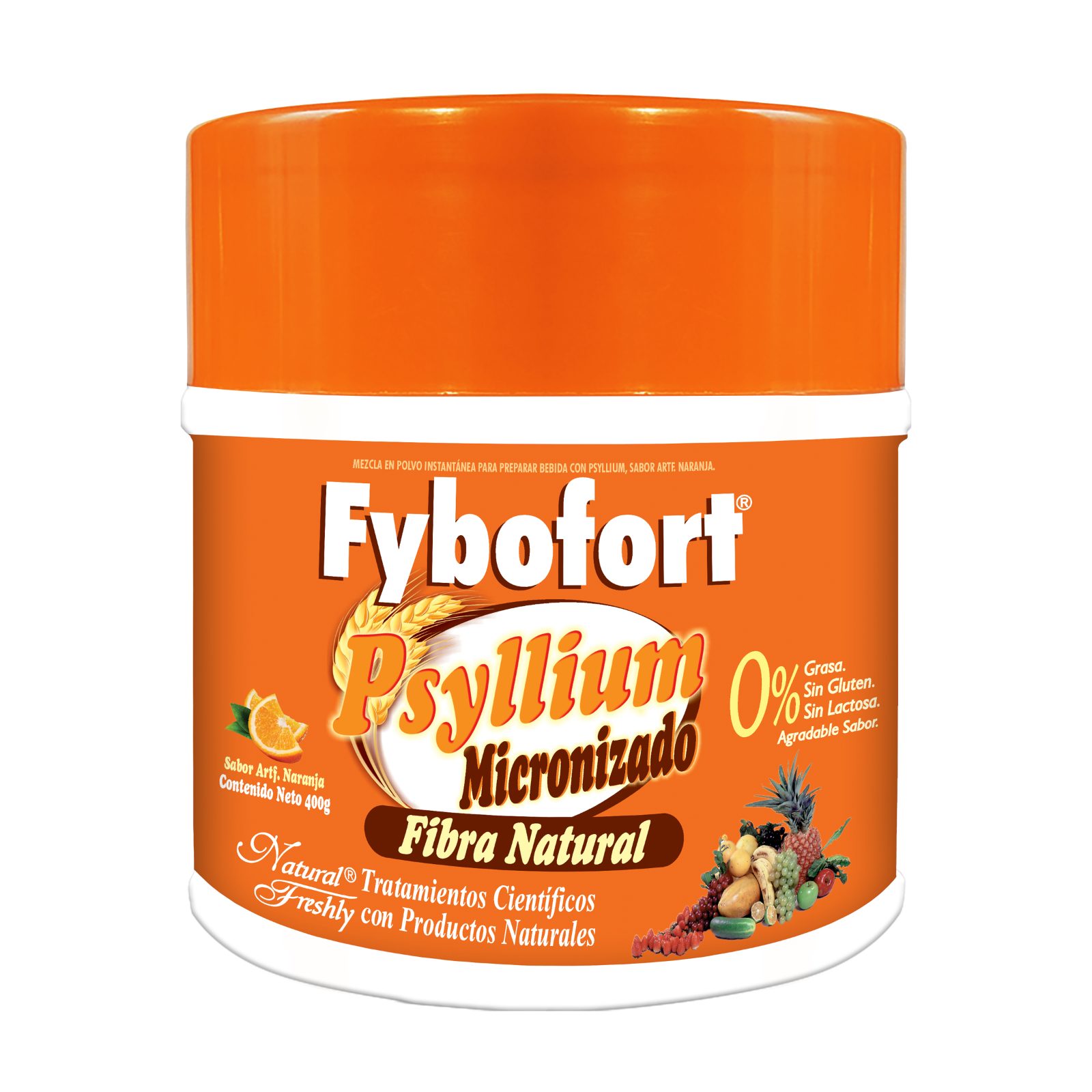 FYBOFORT Psyllium Micronizado 400 g